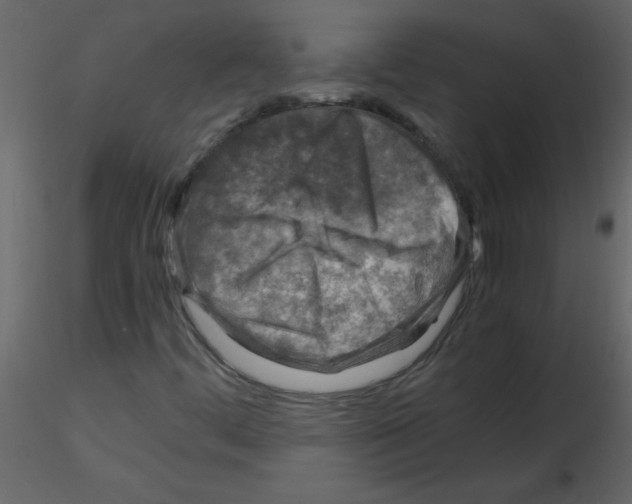 X0000115801444200912241843