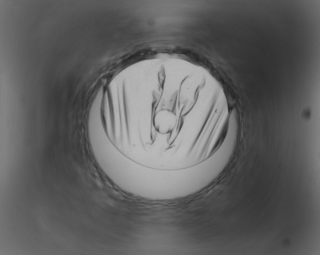 X0000115801445200912241843