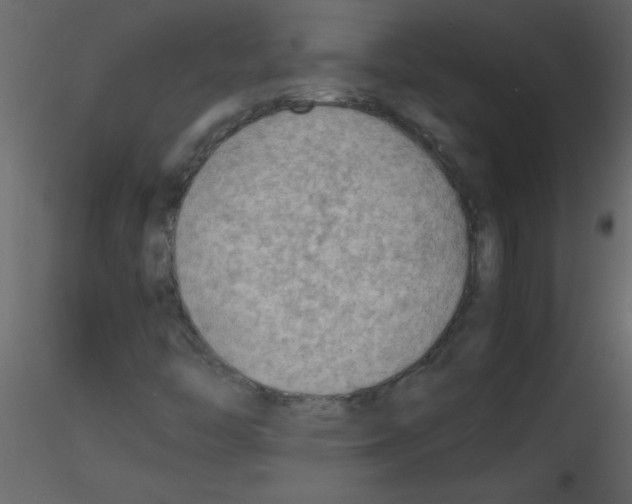 X0000115801446200912241843