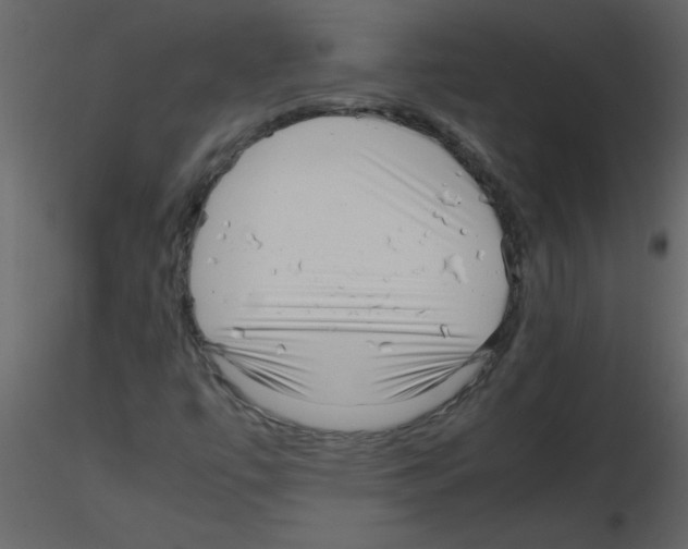 X0000115801447200912241843