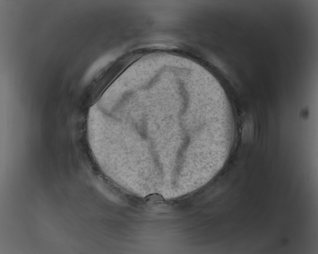 X0000115801448200912241843