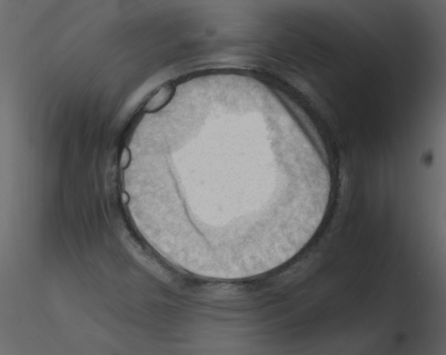 X0000115801450200912241843