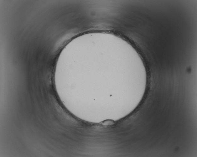 X0000115801451200912241843