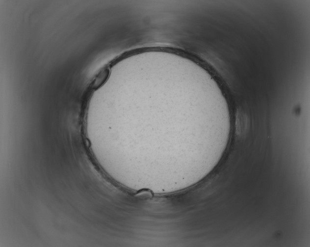 X0000115801452200912241843