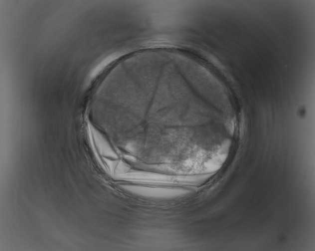 X0000115801453200912241843