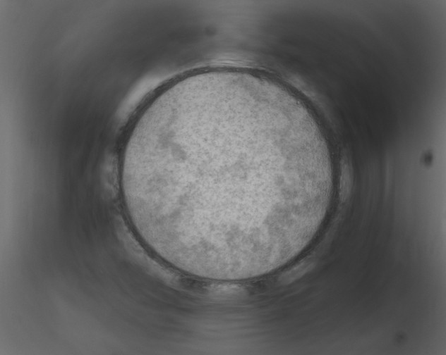 X0000115801454200912241843