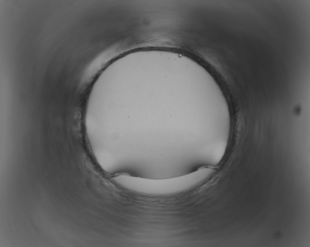 X0000115801455200912241843