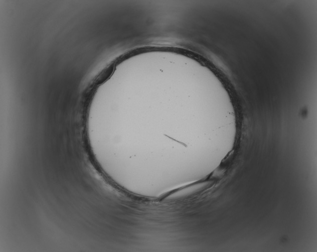 X0000115801456200912241843