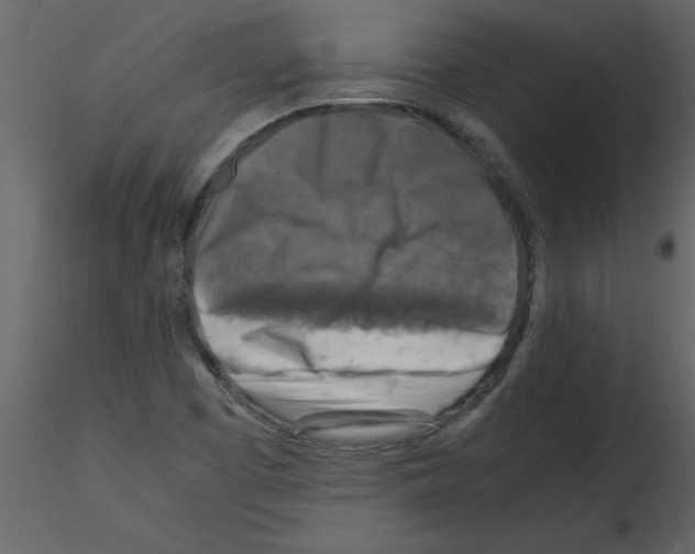 X0000115801457200912241843