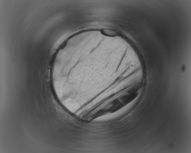 X0000115801459200912241843