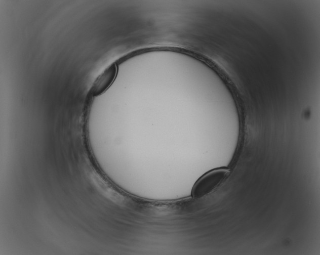 X0000115801460200912241843