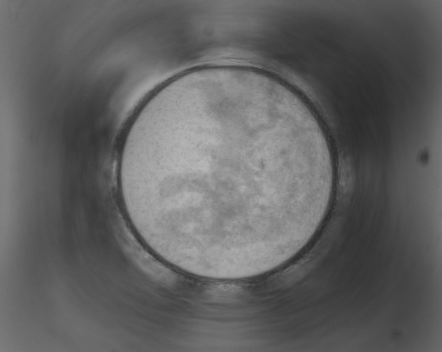 X0000115801462200912241843