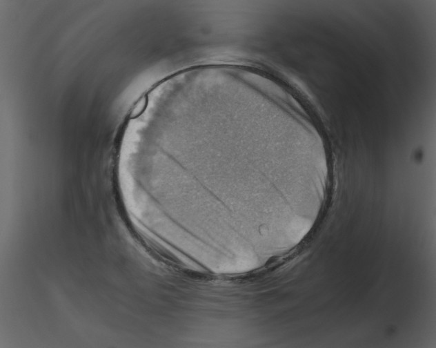 X0000115801463200912241843