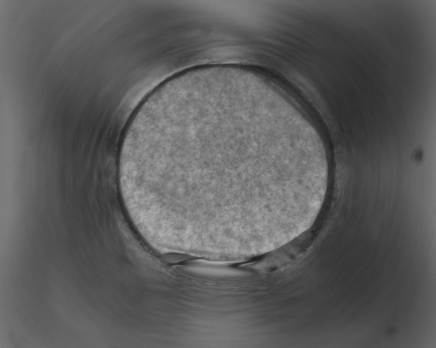 X0000115801465200912241843