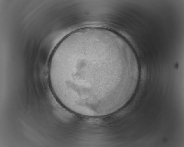 X0000115801466200912241843