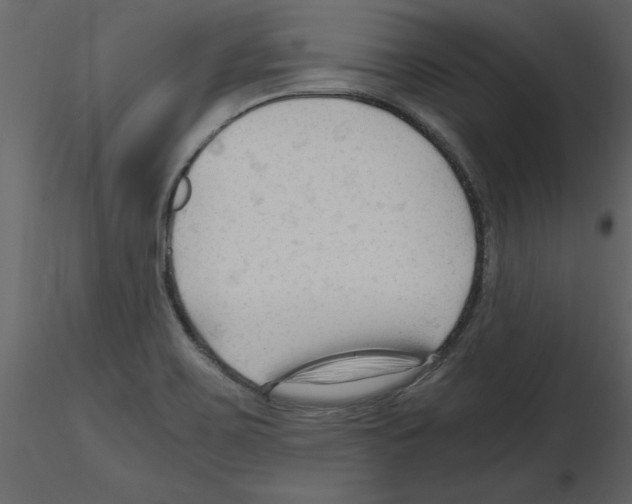 X0000115801467200912241843