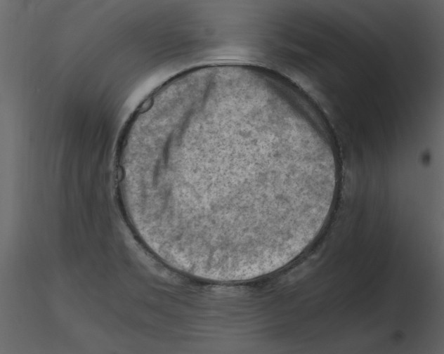 X0000115801469200912241843