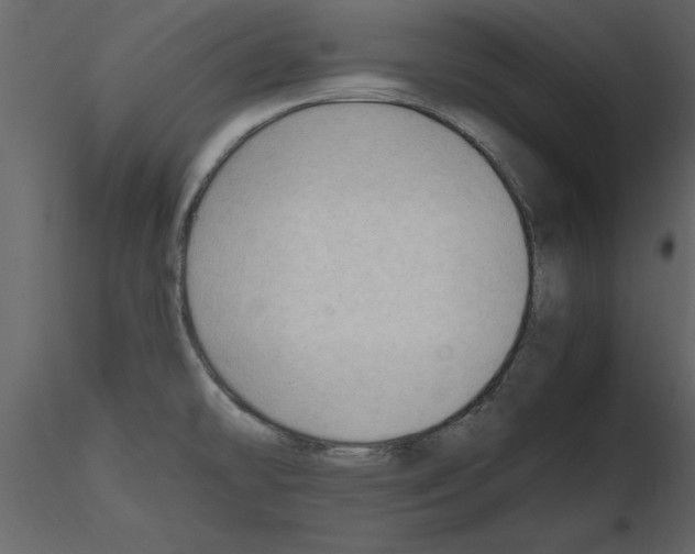 X0000115801478200912241843