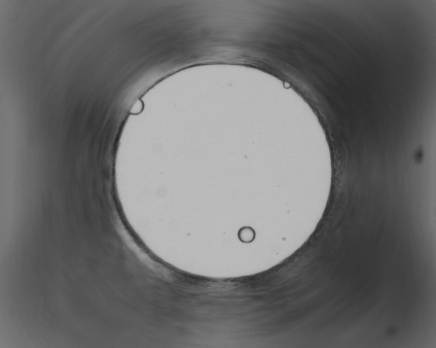 X0000115801479200912241842