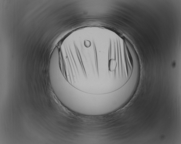 X0000115801481200912241842