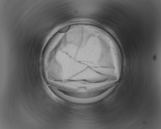 X0000115801482200912241842