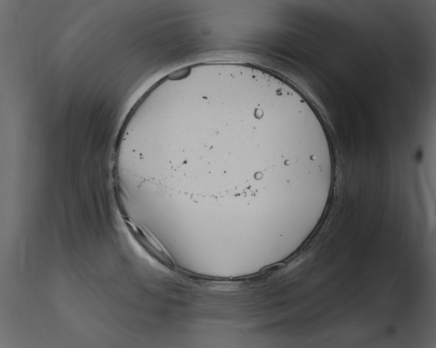 X0000115801484200912241842