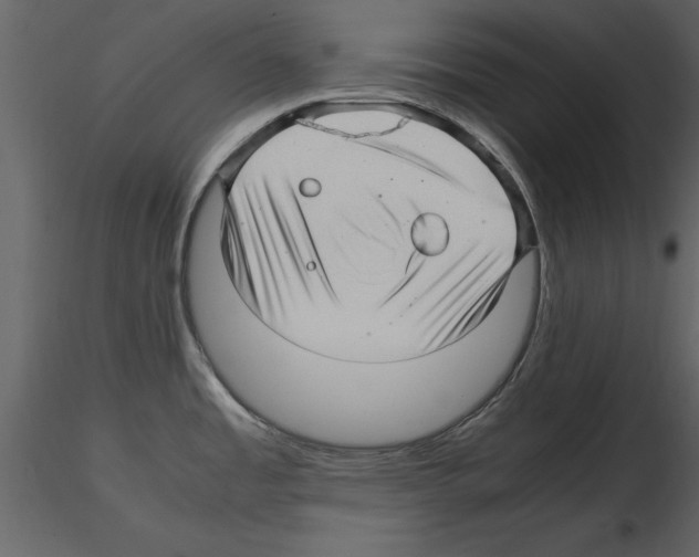 X0000115801485200912241842