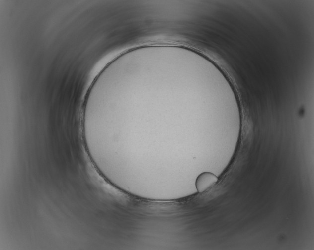 X0000115801486200912241842