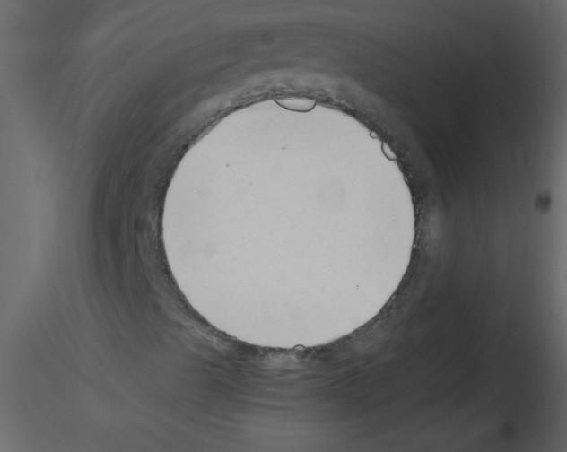 X0000115801489200912241842