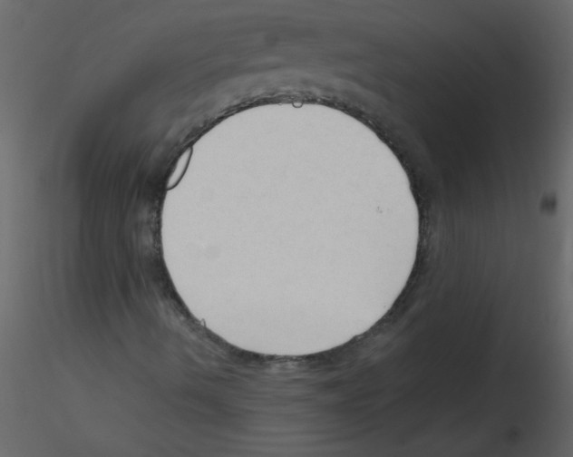 X0000115801490200912241842