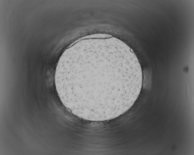 X0000115801491200912241842