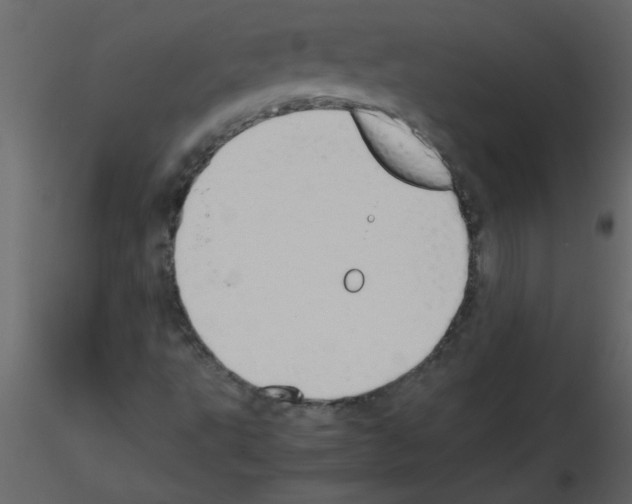 X0000115801495200912241842