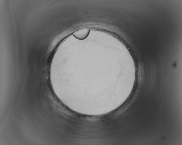 X0000115801501200912241842