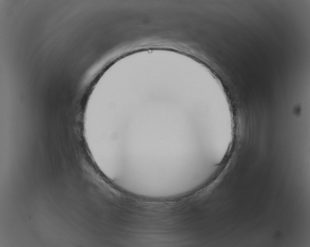 X0000115801502200912241842