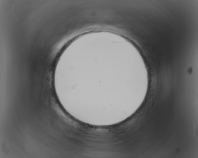 X0000115801503200912241842