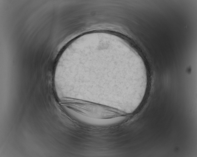 X0000115801505200912241842