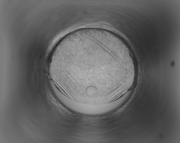 X0000115801506200912241842