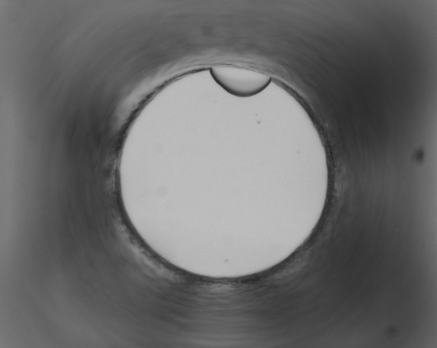 X0000115801507200912241842