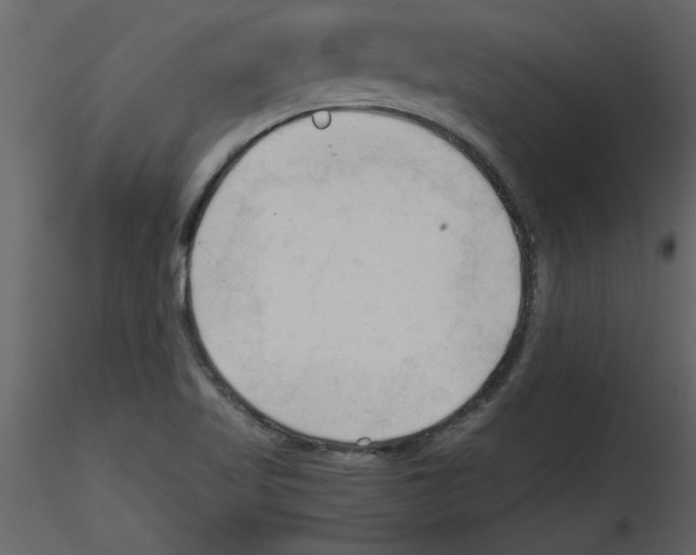 X0000115801509200912241842