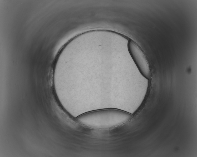 X0000115801510200912241842