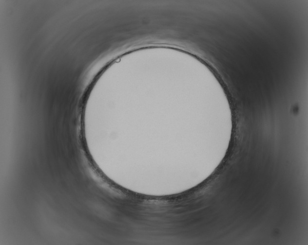 X0000115801511200912241842