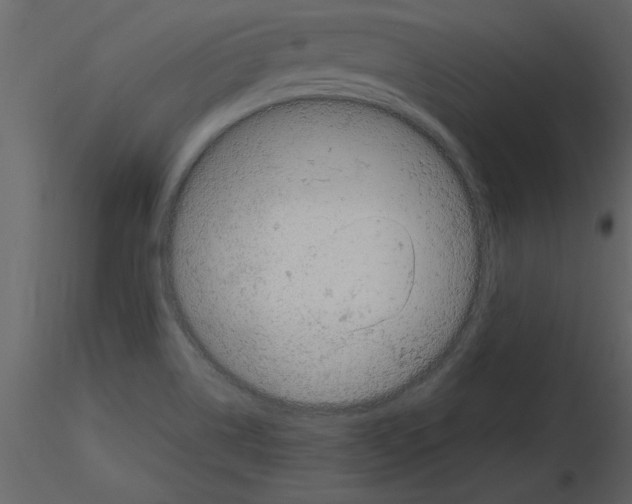 X0000115801514200912241842