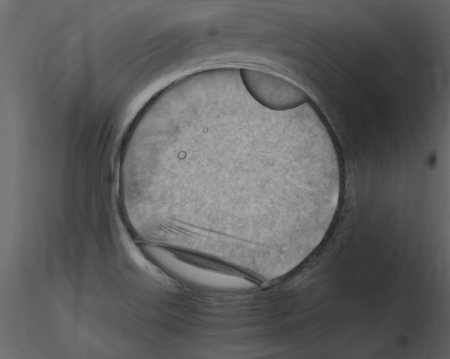 X0000115801515200912241842