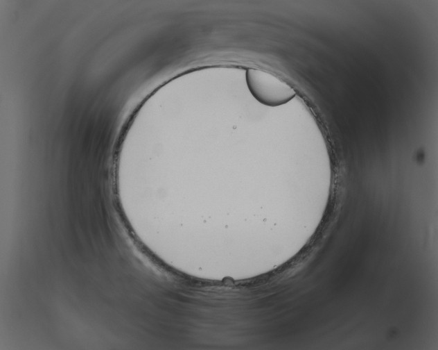 X0000115801517200912241842