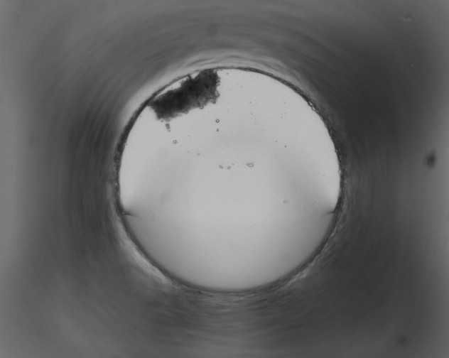 X0000115801518200912241842