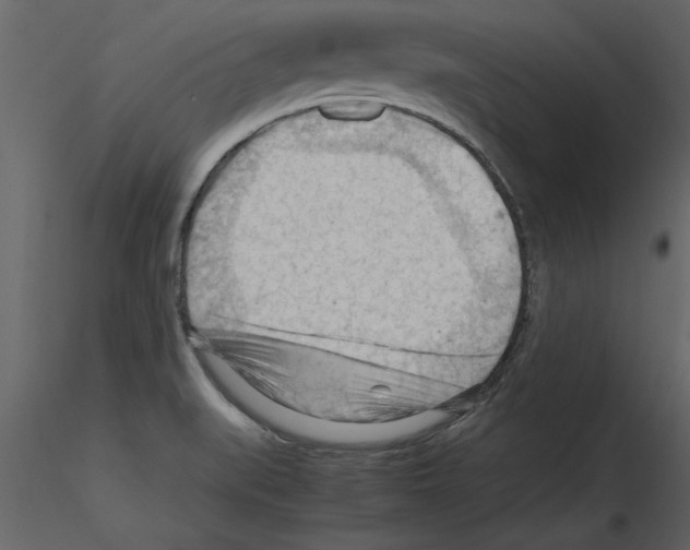 X0000115801519200912241842