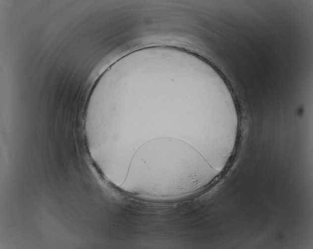 X0000115801521200912241842