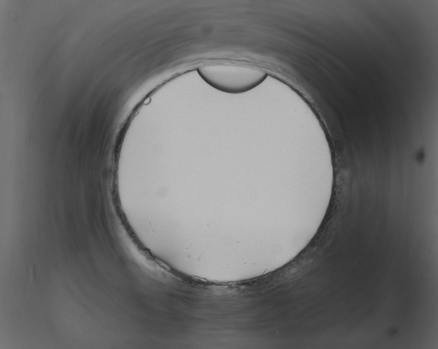 X0000115801523200912241842