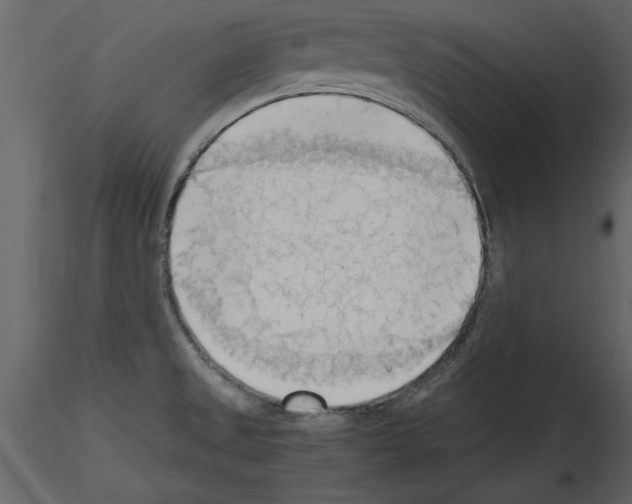 X0000115801525200912241842