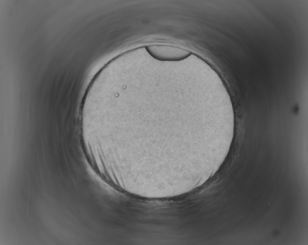 X0000115801527200912241842